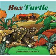 Box Turtle