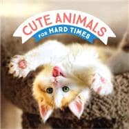 Cute Animals for Hard Times
