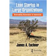 Lean Startup in Large Organizations