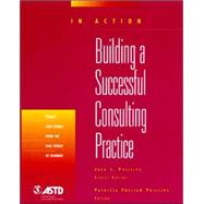 Building A Successful Consulting Practice In Action Case Study Series