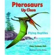 Pterosaurs Up Close