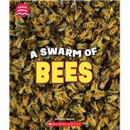 A Swarm of Bees (Learn About: Animals)