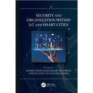 Security and Organization within IoT and Smart Cities
