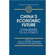China's Economic Future