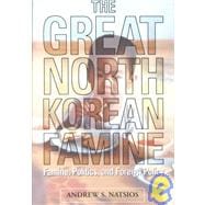 Great North Korean Famine : Famine, Politics, and Foreign Policy