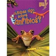 Sabes algo sobre anfibios Do You Know about Amphibians