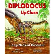 Diplodocus Up Close