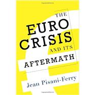 The Euro Crisis and Its Aftermath