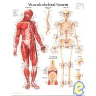 Musculoskeletal System chart Laminated Wall Chart