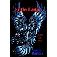 Little Eagle Awaken and Sleep