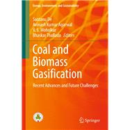 Coal and Biomass Gasification