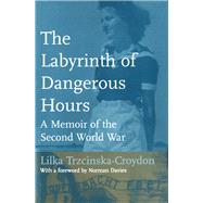 The Labyrinth of Dangerous Hours