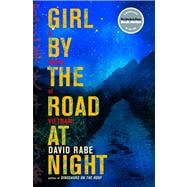 Girl by the Road at Night A Novel of Vietnam