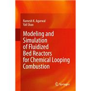 Modeling and Simulation of Fluidized Bed Reactors for Chemical Looping Combustion