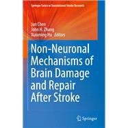 Non-neuronal Mechanisms of Brain Damage and Repair After Stroke