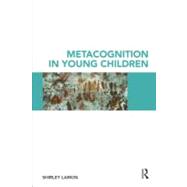 Metacognition in Young Children