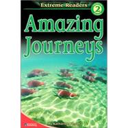 Amazing Journeys