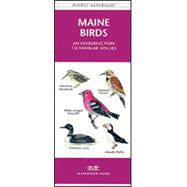 Maine Birds: An Introduction to Familiar Species