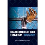 Incarceration and Race in Michigan