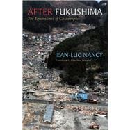 After Fukushima The Equivalence of Catastrophes