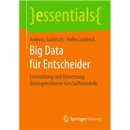 Big Data für Entscheider