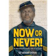 Now or Never! Fifty-Fourth Massachusetts Infantry's War to End Slavery