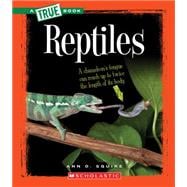Reptiles (A True Book: Animal Kingdom)