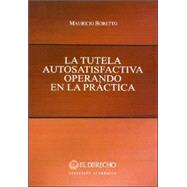 La Tutela Autosatisfactiva Operando En La Practica