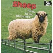 Sheep