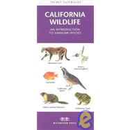 California Wildlife: An Introduction to Familiar Species