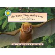 Red Bat At Sleepy Hollow Lane