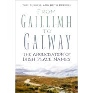 From Gaillimh to Galway The Anglicisation of Irish Place Names