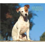 For the Love of Jack Russell Terriers 2008 Calendar