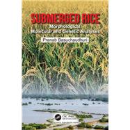 Submerged Rice