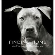 Finding Home Shelter Dogs and Their Stories
