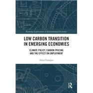 Low Carbon Transition in Emerging Economies
