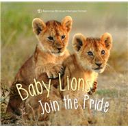 Baby Lions Join the Pride