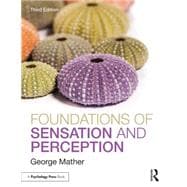 Foundations of Sensation and Perception