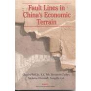 Fault Lines in China's Economic Terrain
