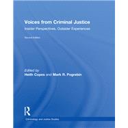 Voices from Criminal Justice: Insider Perspectives, Outsider Experiences