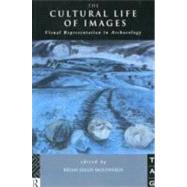 The Cultural Life of Images: Visual Representation in Archaeology