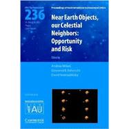 Near Earth Objects, our Celestial Neighbors (IAU S236): Opportunity and Risk