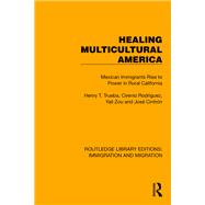 Healing Multicultural America