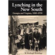 Lynching in the New South