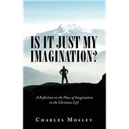 Is It Just My Imagination?