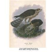 Circus Gouldi Swamp Harrier Falcon Walter Buller 100 Page Lined Journal