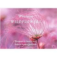 Wisconsin Wildflowers