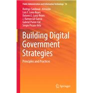 Building Digital Government Strategies