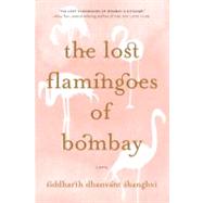 The Lost Flamingoes of Bombay