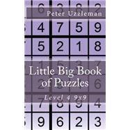 Little Big Book of Puzzles